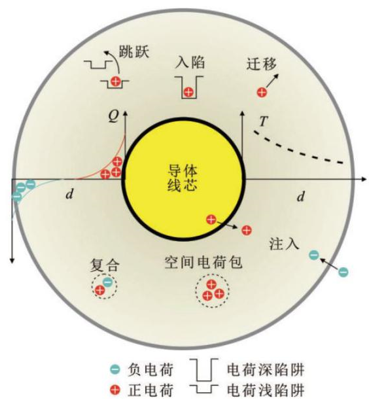 电缆绝缘层的电荷输运过程示意图