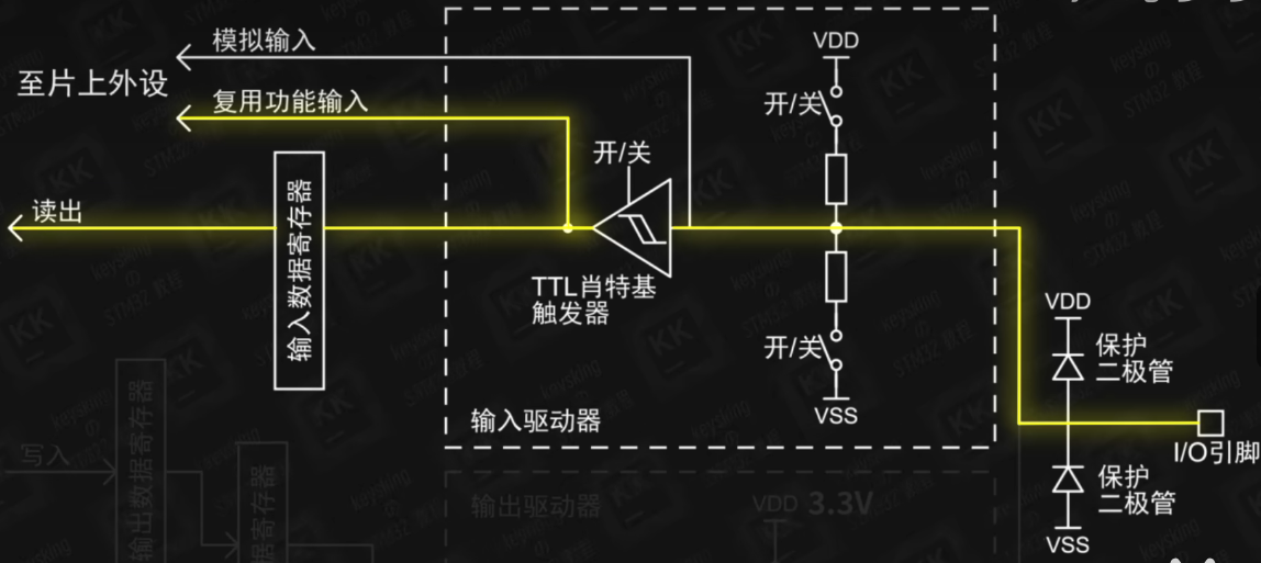 输入部分